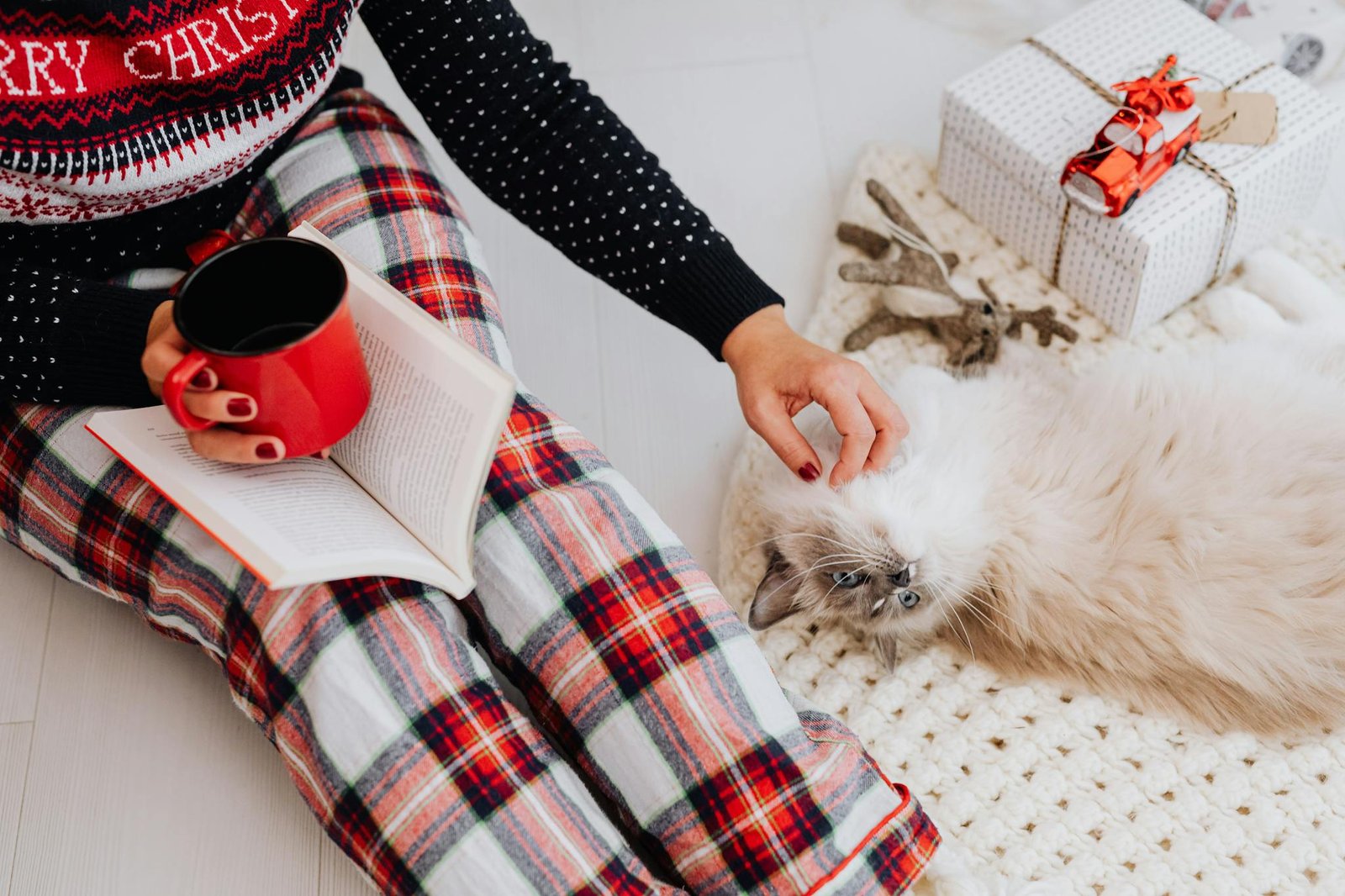 A woman enjoys a cozy Christmas morning with a cat, book, and coffee.